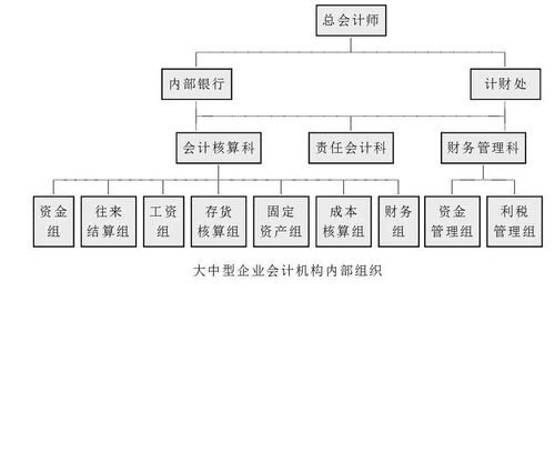 会计工作组织