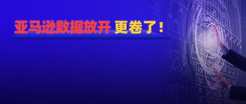 炸锅 亚马逊数据开放,更卷了 小卖难活,运营头疼,服务商惊慌 卖家 电商 全品类 科学家 财务报表 财务会计 百亿补贴 亚马逊公司 网易订阅