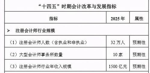 财政部官宣 给注册会计师加薪